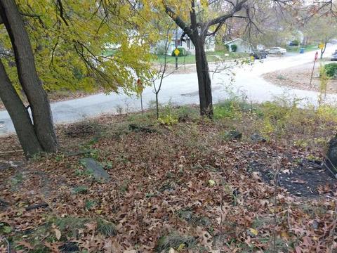 7530 Maple Ave, Gary, IN 46403 photo 5