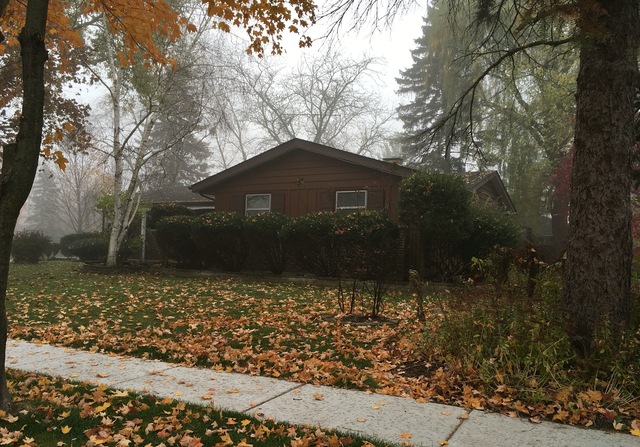 1561 Junior Pl, Elgin, IL 60123 photo 3