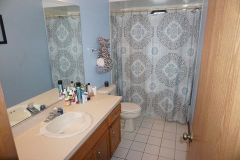 25601 S Mccorkle Ave, Monee, IL 60449 photo 9