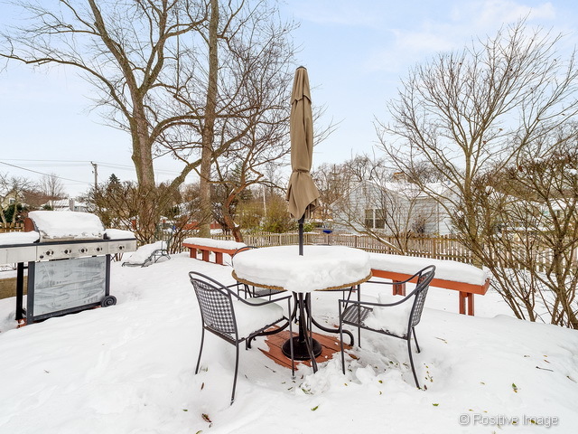322 S Summit St, Wheaton, IL 60187 photo 15