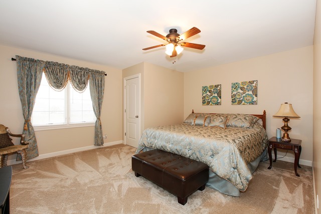 16020 S Selfridge Cir, Plainfield, IL 60586 photo 15