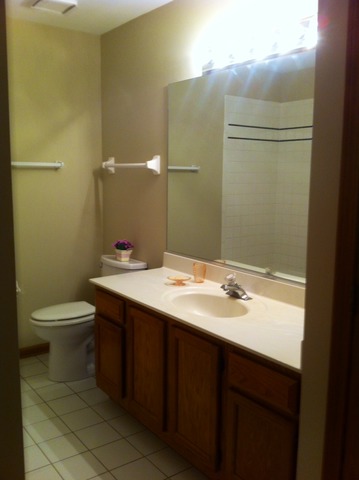 418 E Reader St, Elburn, IL 60119 photo 9
