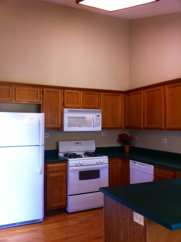 418 E Reader St, Elburn, IL 60119 photo 6