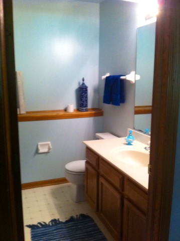 418 E Reader St, Elburn, IL 60119 photo 16