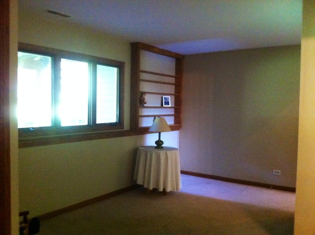418 E Reader St, Elburn, IL 60119 photo 13