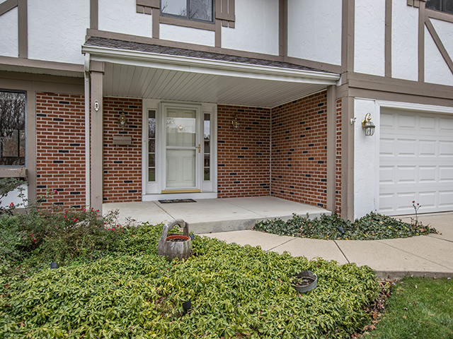 154 Cherry St, Roselle, IL 60172 photo 23