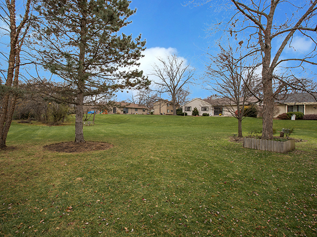 154 Cherry St, Roselle, IL 60172 photo 3