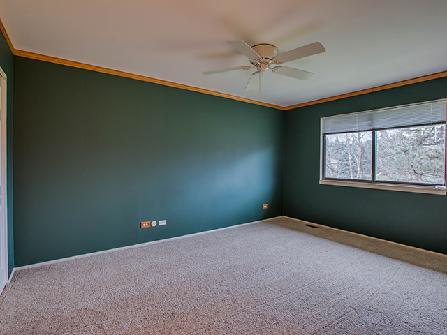 154 Cherry St, Roselle, IL 60172 photo 18
