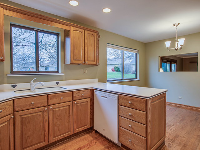 154 Cherry St, Roselle, IL 60172 photo 10