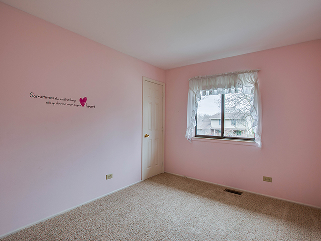 154 Cherry St, Roselle, IL 60172 photo 17