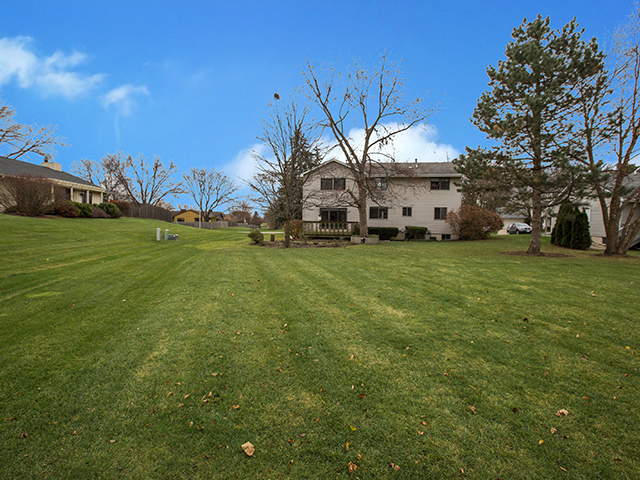 154 Cherry St, Roselle, IL 60172 photo 2