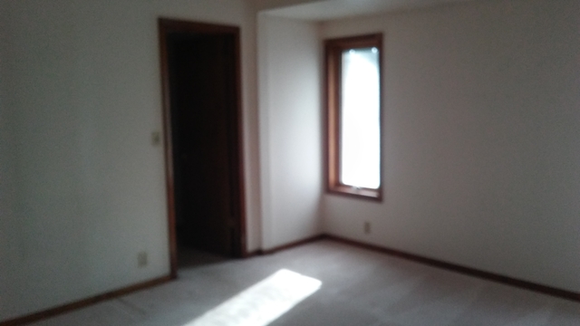 27444 S Will Center Rd, Monee, IL 60449 photo 19