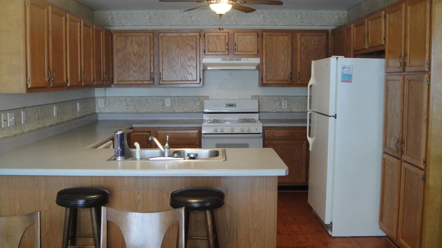 311 Forest View Dr, Genoa, IL 60135 photo 5