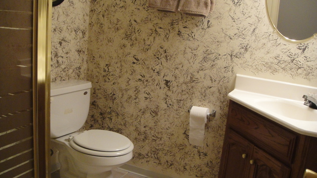 311 Forest View Dr, Genoa, IL 60135 photo 20