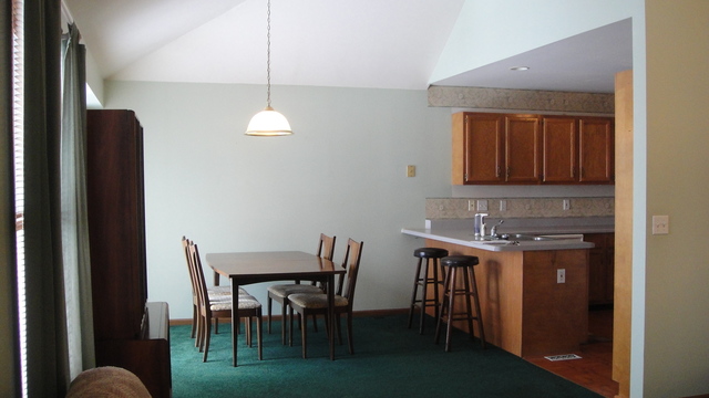 311 Forest View Dr, Genoa, IL 60135 photo 4