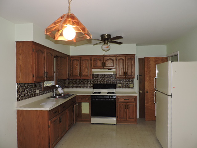 1223 Blackhawk Dr, Elgin, IL 60120 photo 4