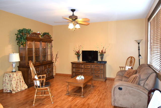 6317 Fox Ridge Dr, Plainfield, IL 60586 photo 8