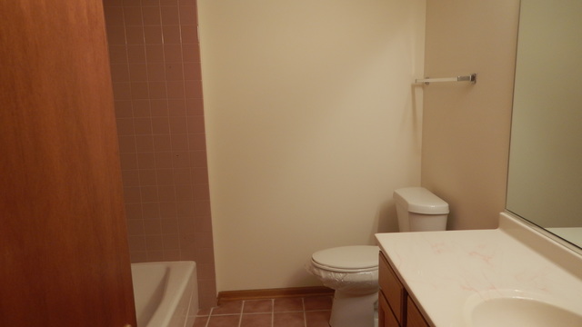 3905 Edgewater Dr, Hazel Crest, IL 60429 photo 11