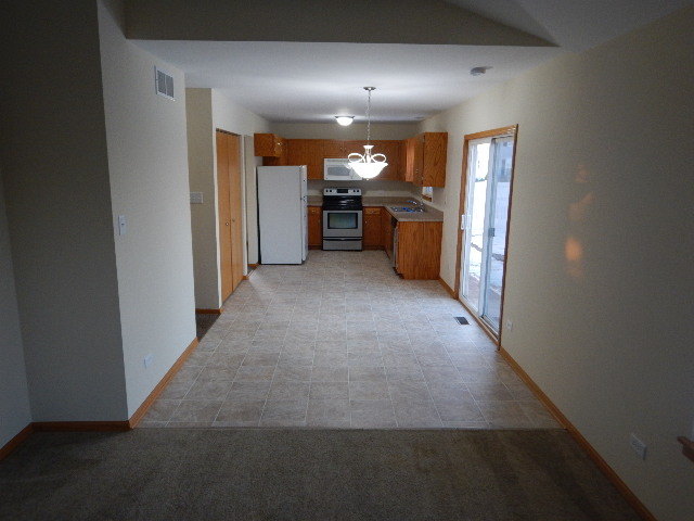 4713 Sandpiper Ln, Plainfield, IL 60586 photo 8