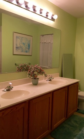 2336 Poets Ln, Algonquin, IL 60102 photo 16