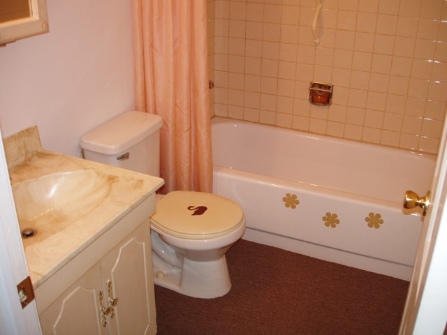 3335 Kirchoff Rd #4F, Rolling Meadows, IL 60008 photo 7