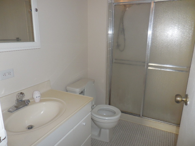 538 Commanche Trl, Wheeling, IL 60090 photo 16
