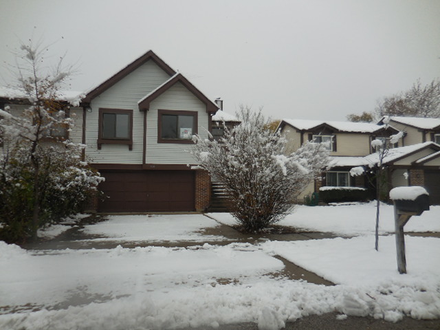 538 Commanche Trl, Wheeling, IL 60090 photo 1