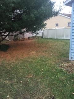703 Jackson St, Oregon, IL 61061 photo 17