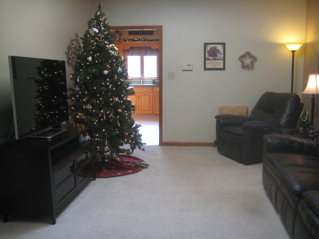 1127 Prospect Ave, Peru, IL 61354 photo 4