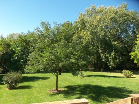 1296 Lake Summerset Rd, Davis, IL 61019 photo 6
