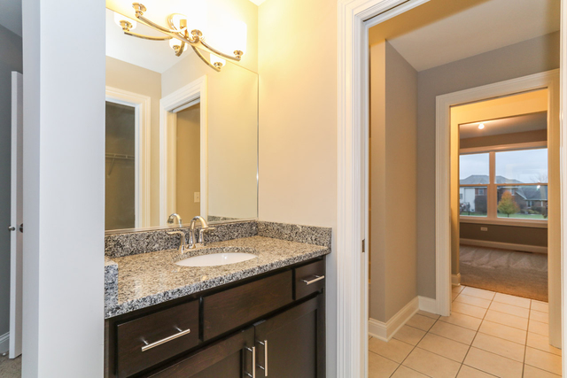 12104 Red Clover Ct, Plainfield, IL 60585 photo 8