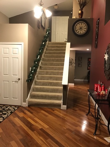 443 Sundance Dr, Bartlett, IL 60103 photo 6