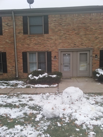 1767 Bristol Walk, Hoffman Estates, IL 60169 photo 1