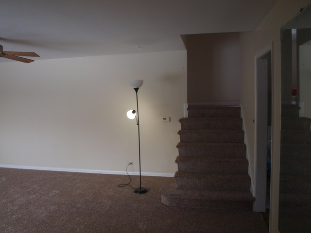 102 S Mount Prospect Rd, Mount Prospect, IL 60056 photo 9