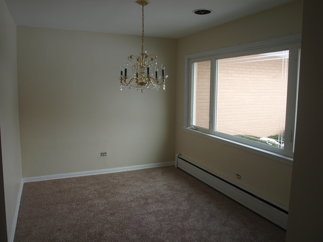 102 S Mount Prospect Rd, Mount Prospect, IL 60056 photo 10