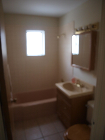 102 S Mount Prospect Rd, Mount Prospect, IL 60056 photo 16