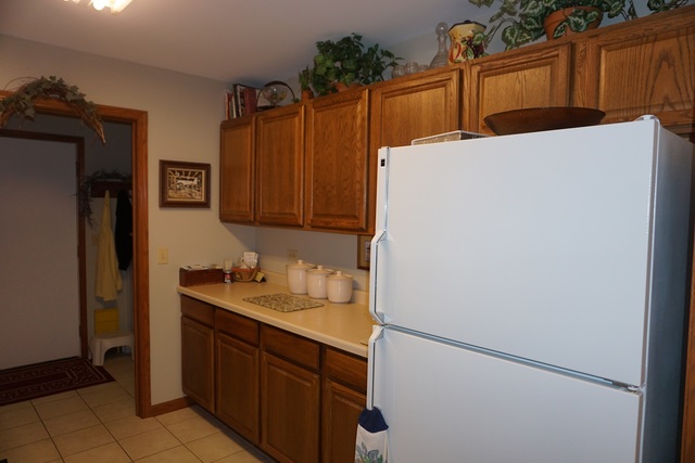 442 Conley Dr, Elburn, IL 60119 photo 10