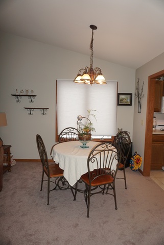 442 Conley Dr, Elburn, IL 60119 photo 7