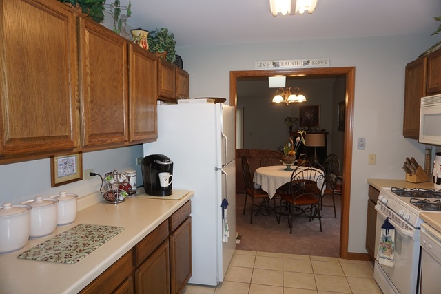442 Conley Dr, Elburn, IL 60119 photo 13