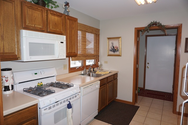 442 Conley Dr, Elburn, IL 60119 photo 9