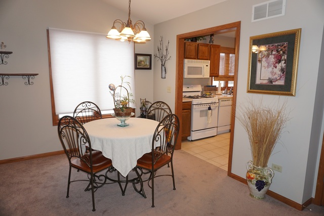 442 Conley Dr, Elburn, IL 60119 photo 8