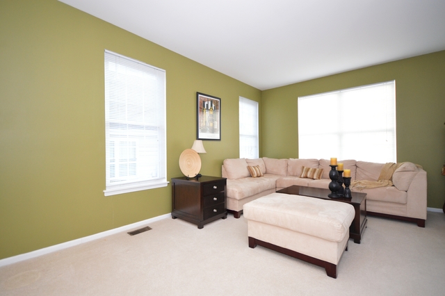 2013 Carrier Cir, Plainfield, IL 60586 photo 4
