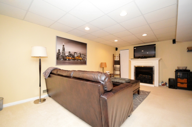 2013 Carrier Cir, Plainfield, IL 60586 photo 18