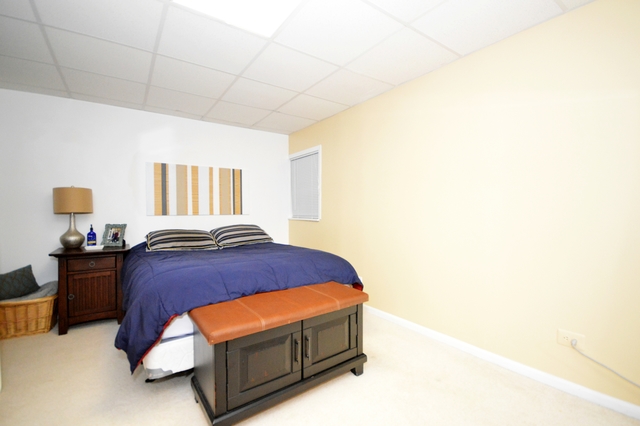 2013 Carrier Cir, Plainfield, IL 60586 photo 14