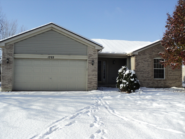 1703 Waterman Ct, Plainfield, IL 60586 photo 1