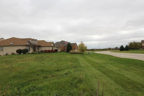 2802 Ninovan Ln, Minooka, IL 60447 photo 4