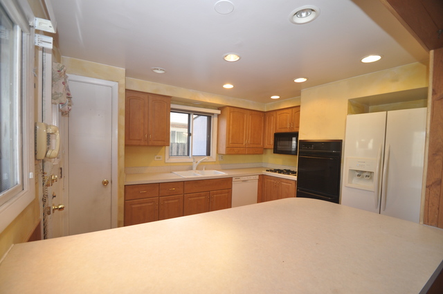 9247 Maple Ln, Des Plaines, IL 60016 photo 4