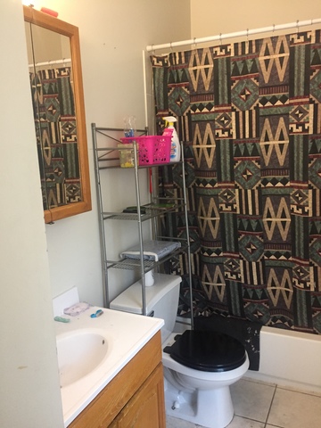 348 E 41st St #2, Chicago, IL 60653 photo 4