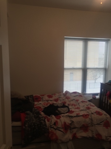 348 E 41st St #2, Chicago, IL 60653 photo 10