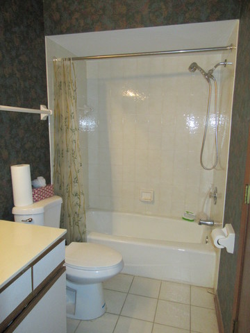 10228 S Beverly Ave, Chicago, IL 60643 photo 18
